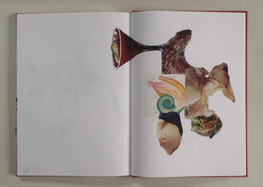 David Patrick Artists book collage